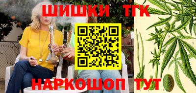 СК Новозыбков