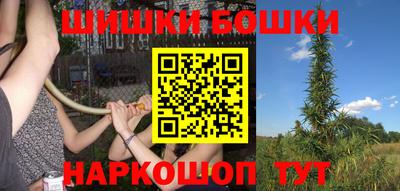 СК Новозыбков