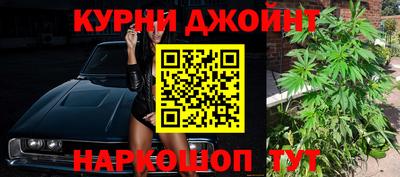 СК Новозыбков