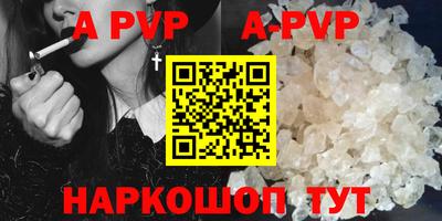 СК Новозыбков