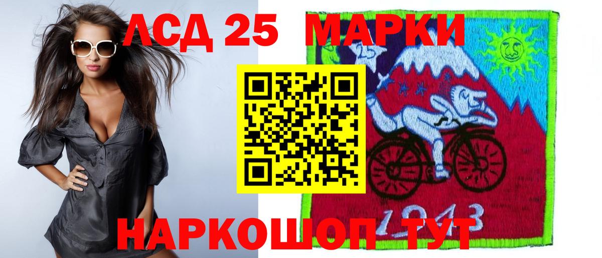 МЕФ Фрязино