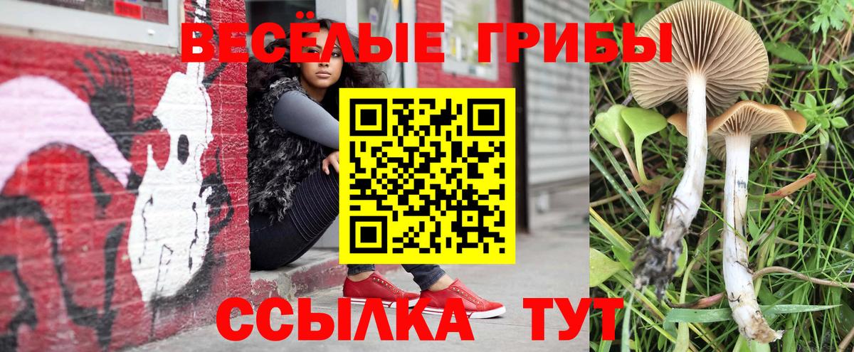 Галлюциногенные грибы MAGIC MUSHROOMS  Псилоцибиновые грибы мухоморы  Фрязино  где купить   Вход с VPN 